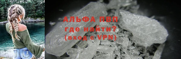 амф Анжеро-Судженск
