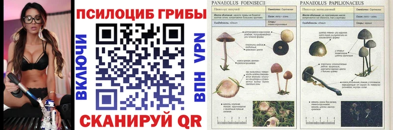 Псилоцибиновые грибы MAGIC MUSHROOMS  Кудымкар 