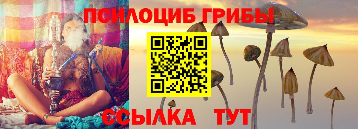 Галлюциногенные грибы мухоморы Кудымкар