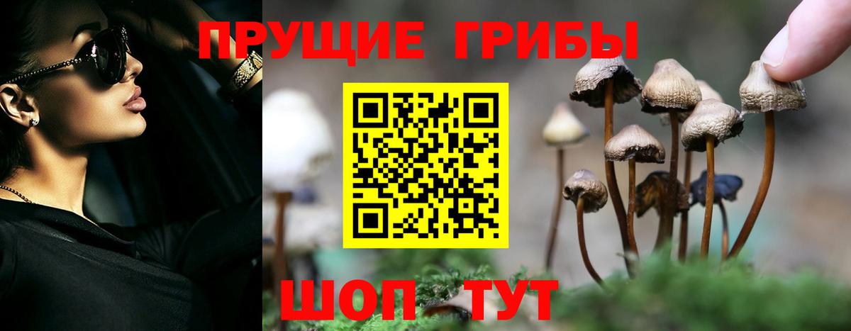 Кудымкар  Псилоцибиновые грибы Magic Shrooms  Вход с VPN  Псилоцибиновые грибы Psilocybine cubensis 